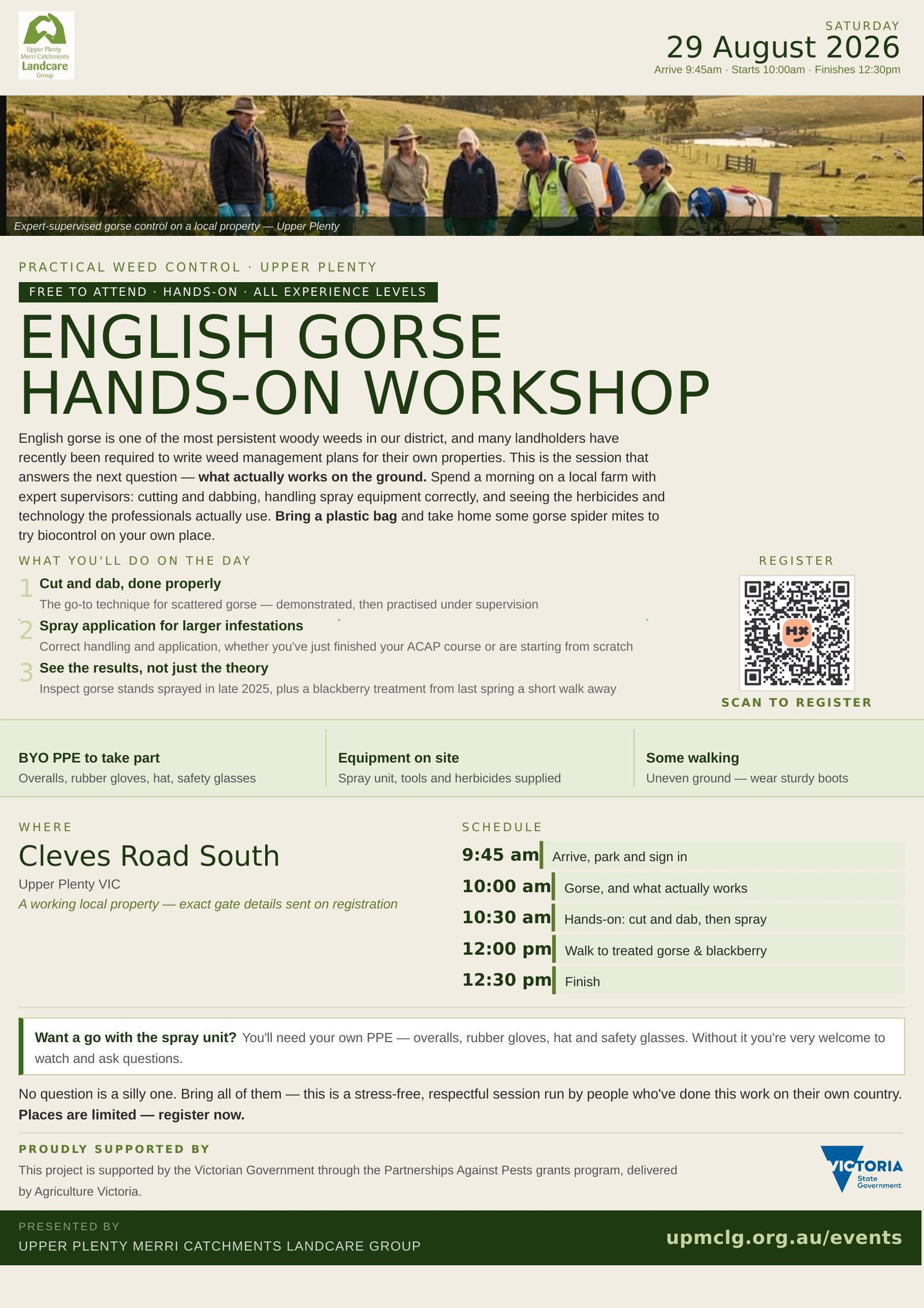 English gorse, hands on flyer